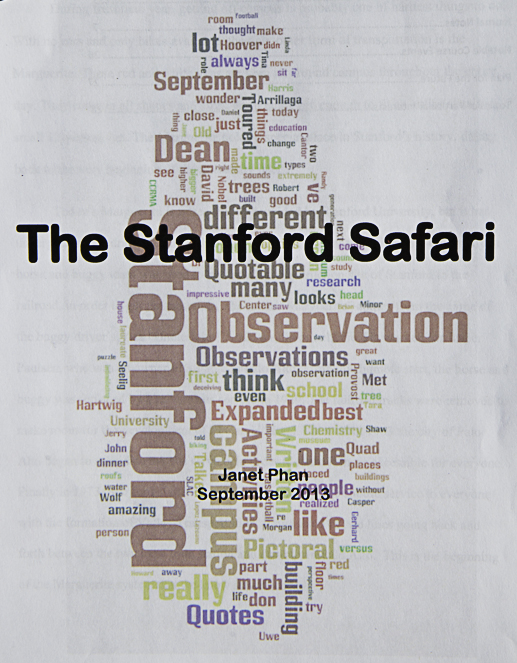 the stanford safari